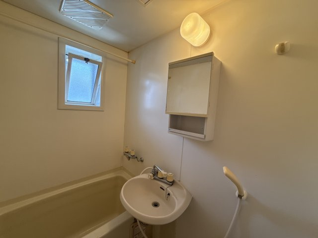 ムーンハウスⅡA棟の洗面所