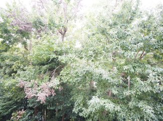 【展望】 | こんな感じです