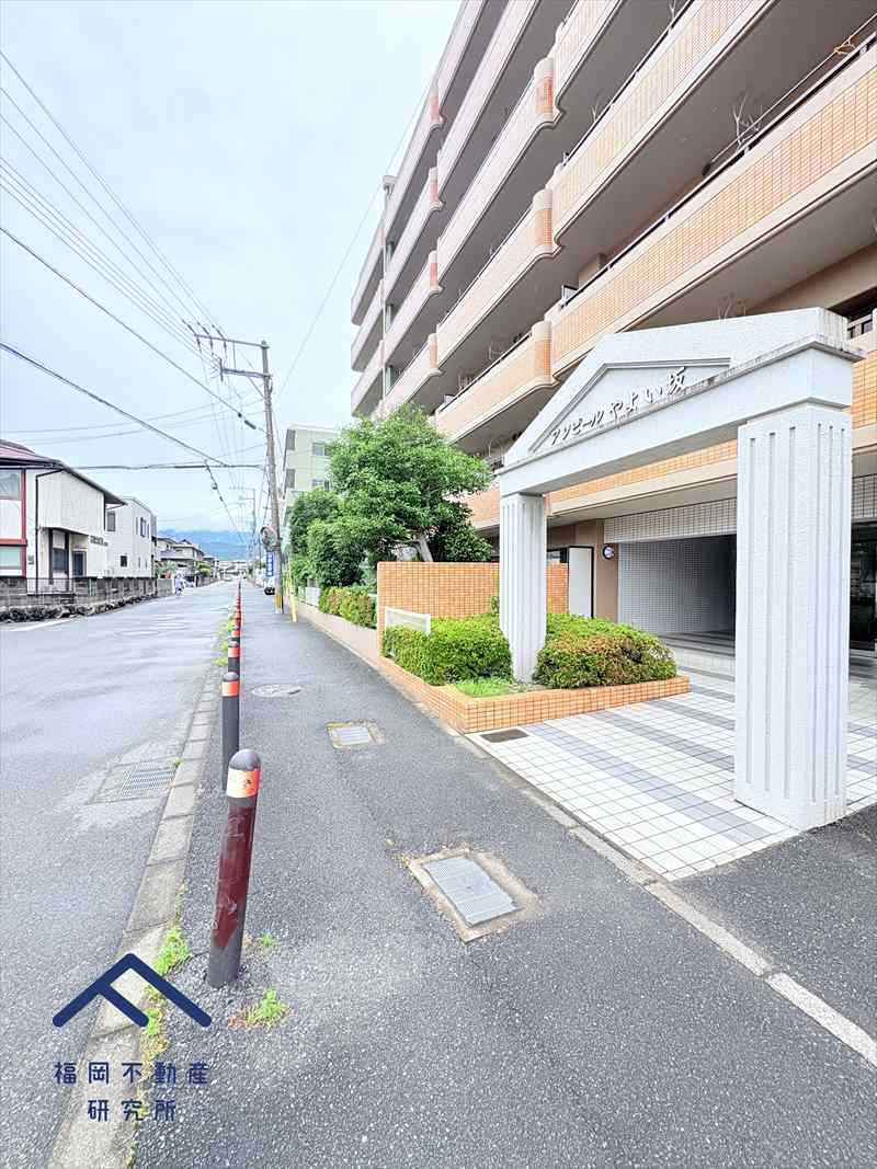アンピールやよい坂の周辺
