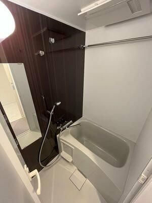 ハーモニーレジデンス大塚山手インサイドの浴室