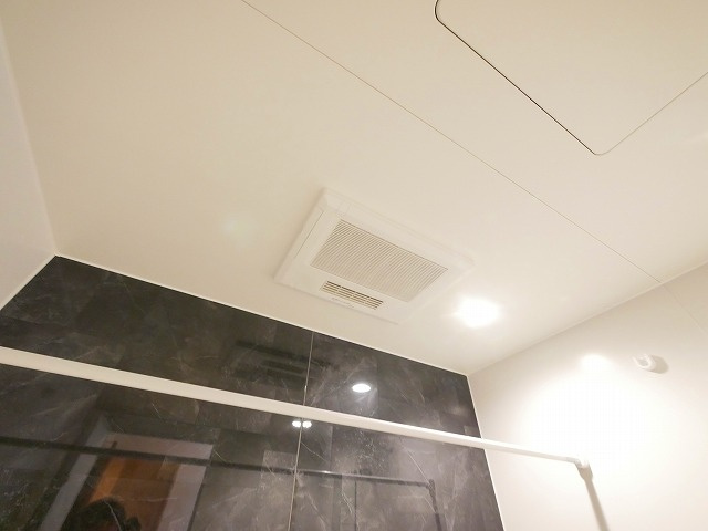 クローバーのその他