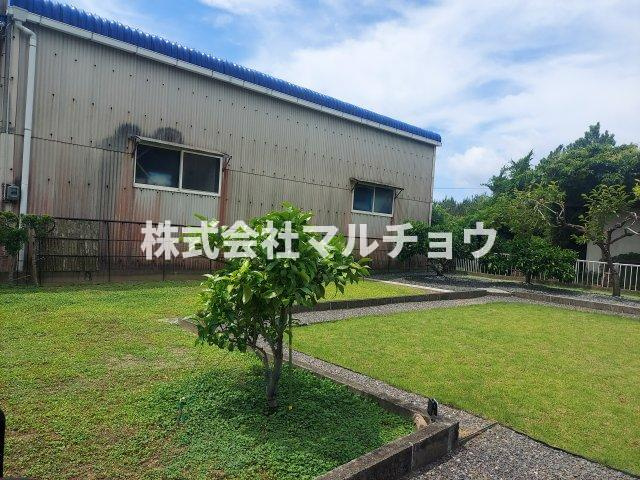 印南売り家の庭|お庭です