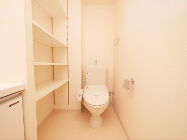 大阪市天王寺区上汐５丁目の賃貸マンションのトイレ