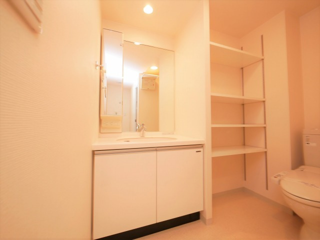 大阪市天王寺区上汐５丁目の賃貸マンションの独立洗面台