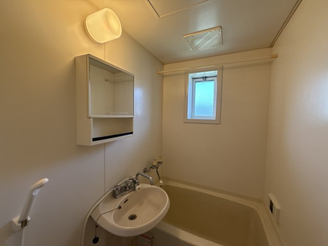 ムーンハウスⅡB棟の洗面所