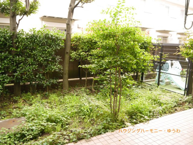 【展望】 | コニファーコート常盤台