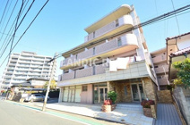 サンセール・クミ の画像