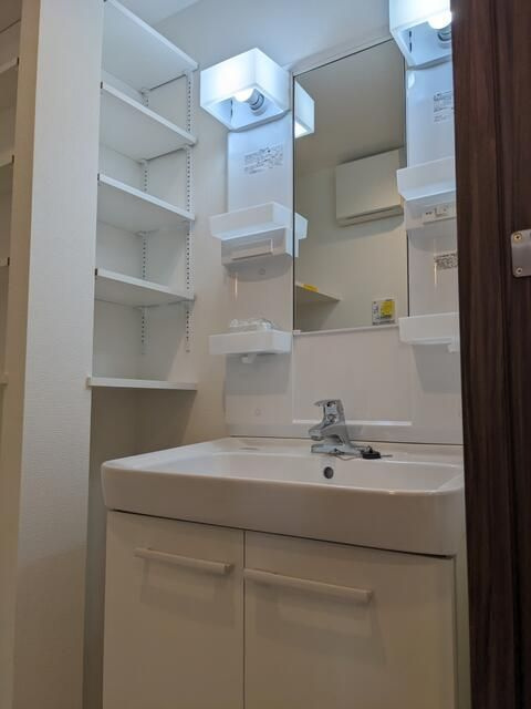 アイルプレミアム押上ノルドの洗面所