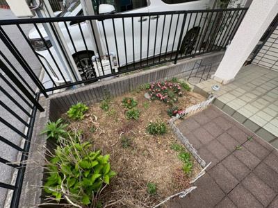 【庭】 | 土塔町　中古一戸建