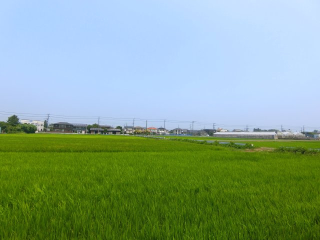 パレットハウスの展望