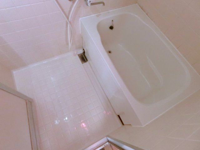 パレットハウスの浴室