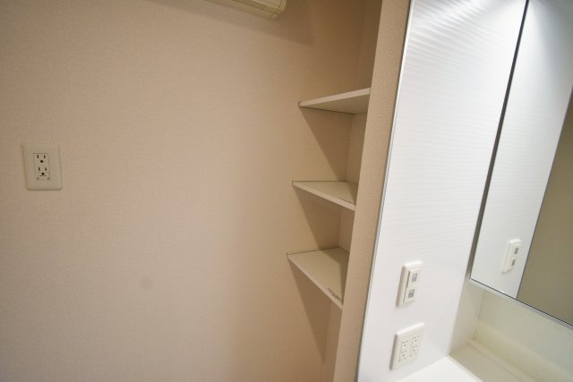 甲子園廣和レジデンスの収納