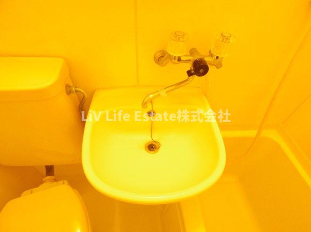 ヴィラ武蔵野の洗面所