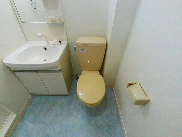 グレイスシャトー王子のトイレ