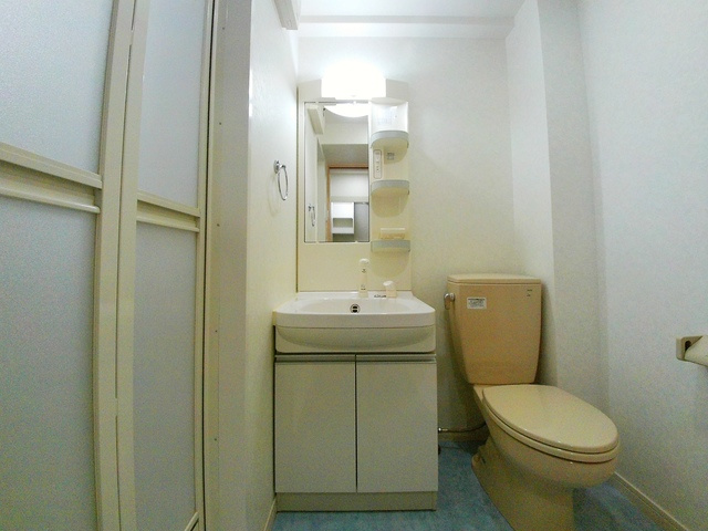 グレイスシャトー王子の洗面所