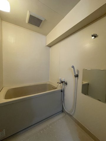 ドミール藤治の浴室