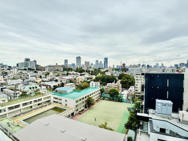 渋谷区広尾１丁目の賃貸マンションのバルコニー|眺望