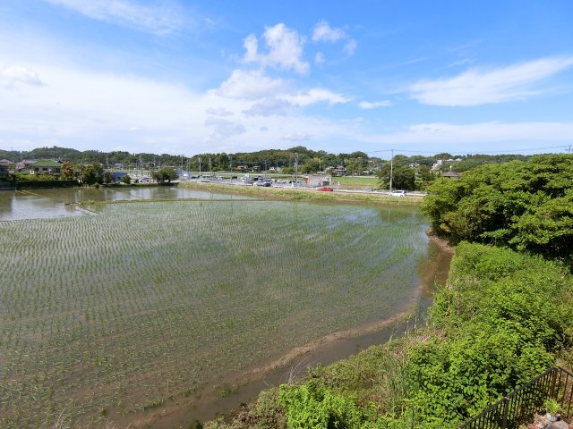 サンコーポ大網の展望