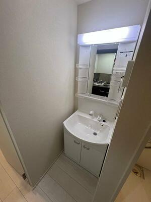 メゾン フルール 小岩駅前の洗面所