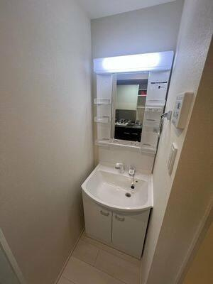 メゾン フルール 小岩駅前の洗面所