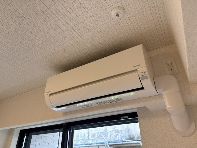 イオフェリーチェのその他