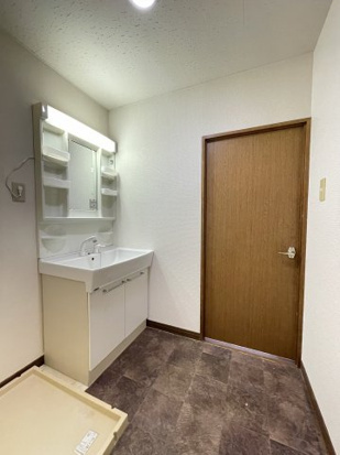 ドミール藤井の洗面所