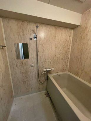 ドミール藤井の浴室