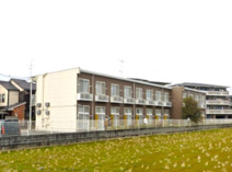 ＣＯＮＹの画像