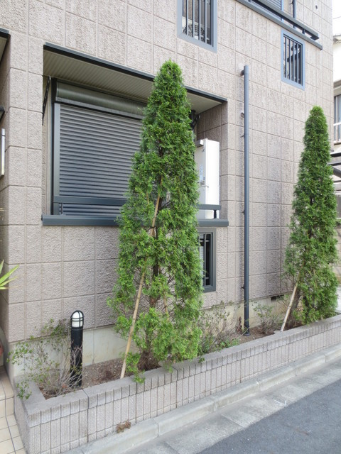 Ｃａｓａ　Ａｌｂｅｒｉのその他共用部分|★共用部に植栽あり★