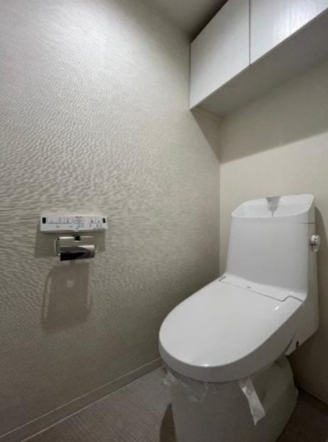 ダイアパレス河辺第二のトイレ|落ち着いた色調のトイレです