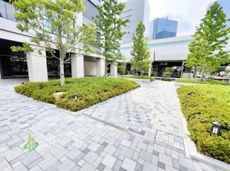 【その他】 | ローレルタワールネ浜松町 | 前面通路