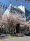 ami ami annex（アミ アミ アネックス）【　名古屋の貸事務所・貸オフィス　】の画像