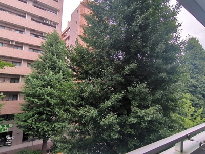 景色