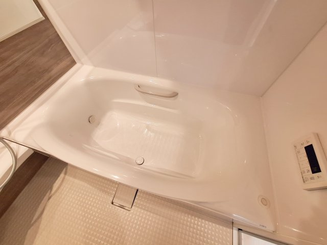 ポルトアンピエール（南棟）の浴室