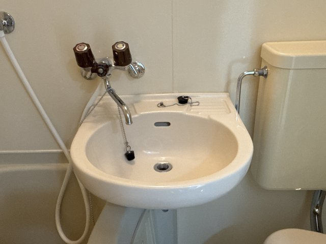 飾磨中村コーポの洗面所