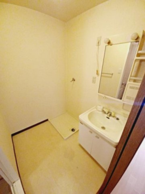 【洗面所】 | ウィスタリア藤 | ※イメージ　同物件別号室の写真