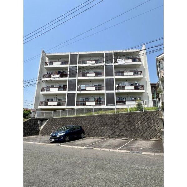 パークサイド作の山の外観