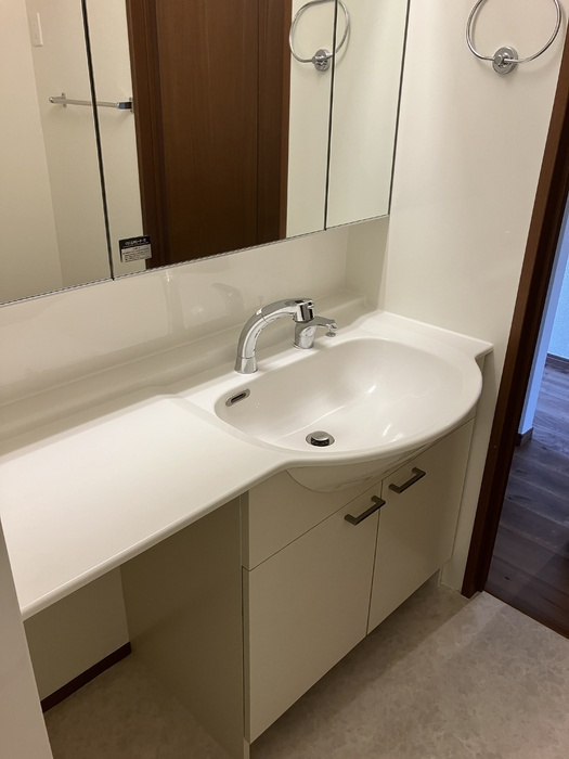 アゼリアコート Ⅱの洗面所