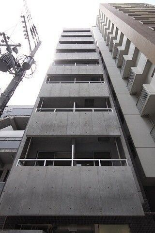 VERDE EBISU