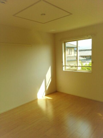 プラシード・プリムラＢのその他