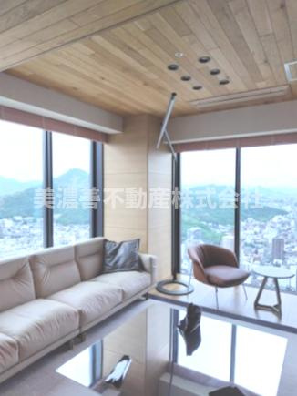 ６５４２７　ライオンズ岐阜プレミストタワー35の展望