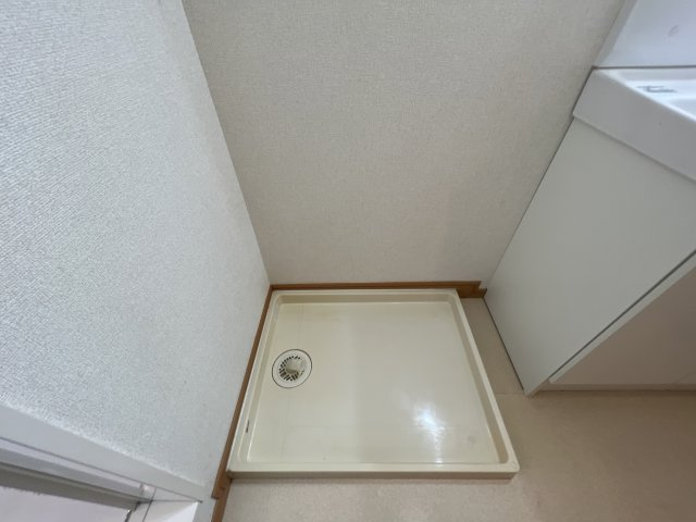 プラシード・Ｓのその他