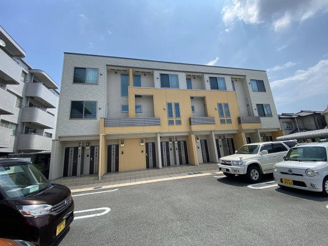 フィレール　デュ　トラジャⅤ