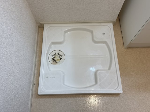 フレンズのその他