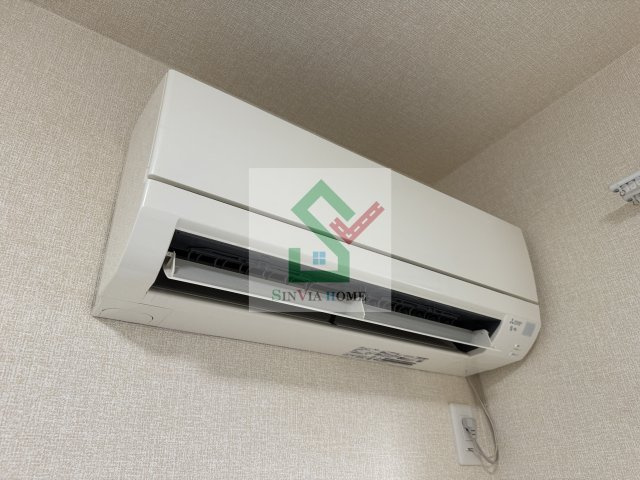 ブルーデイジーのその他