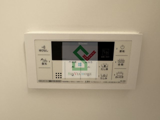 ブルーデイジーのその他