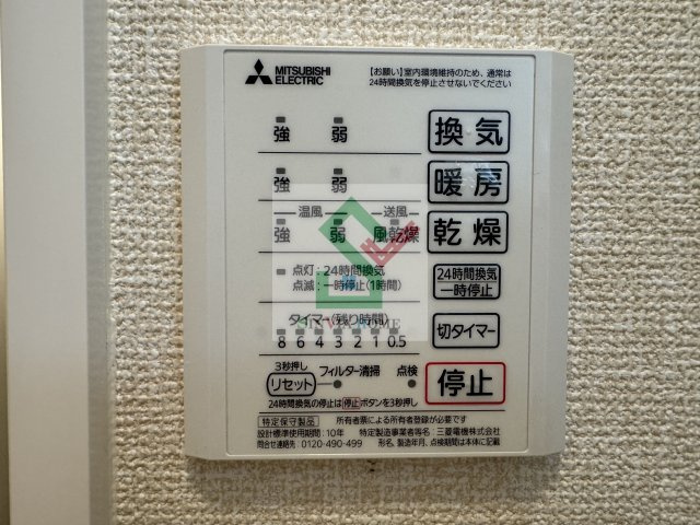 ブルーデイジーのその他