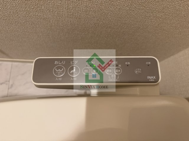 ブルーデイジーのその他