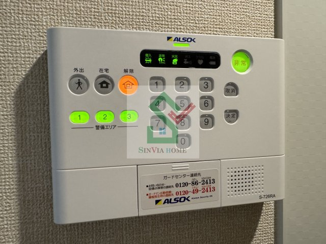 ブルーデイジーのその他