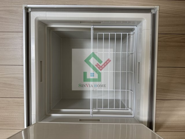 ブルーデイジーのその他